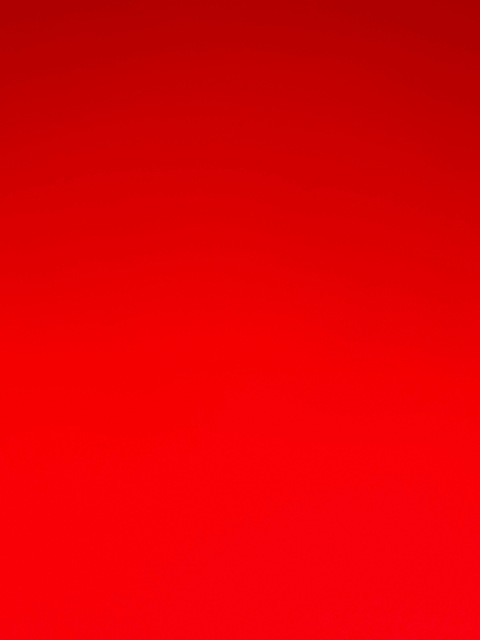 bigtittyloz header picture leakfans.com