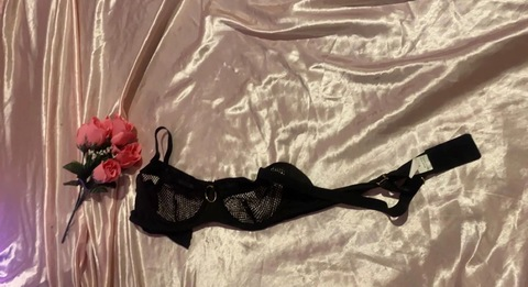 bimbobitch header picture leakfans.com