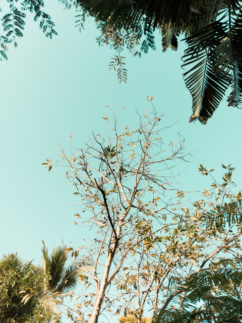 bixz1 header picture leakfans.com