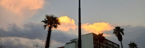 blackpoison header picture leakfans.com