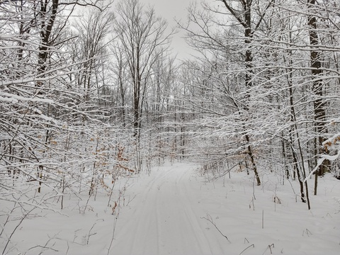 blackwolf666 header picture leakfans.com