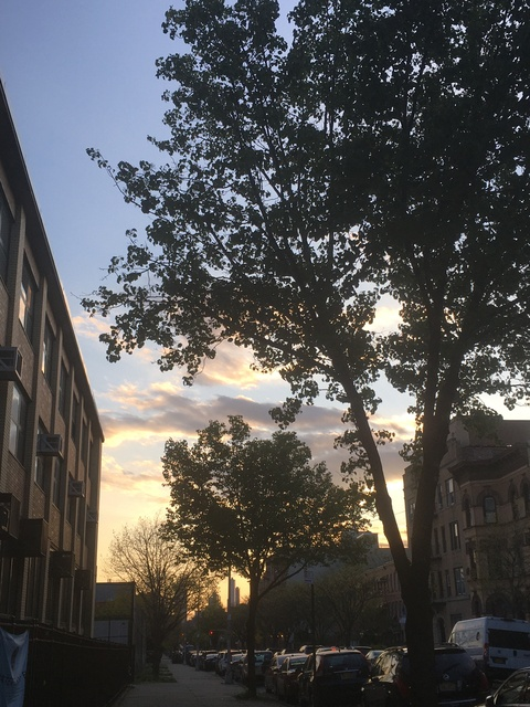 blahmvitale header picture leakfans.com