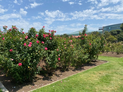 blakeblossomxxx header picture leakfans.com