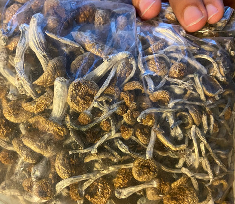 blakegatess header picture leakfans.com