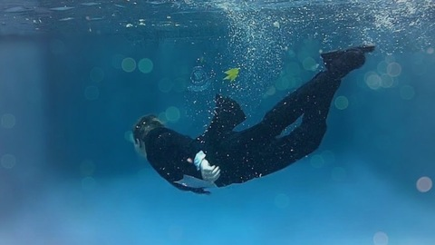 blaketaylor615 header picture leakfans.com