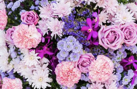 blasigeovanna header picture leakfans.com