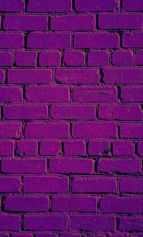 blazinlexxi420 header picture leakfans.com