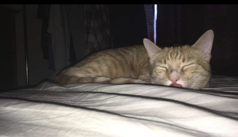 blizzardkaiser header picture leakfans.com