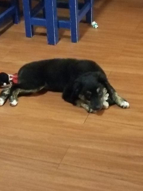 blondbeard header picture leakfans.com