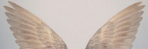 blondexprincess header picture leakfans.com