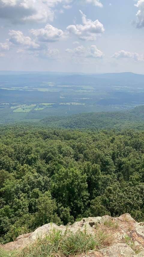 blondie0803 header picture leakfans.com