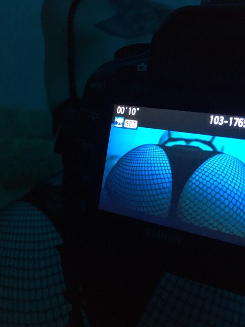 bloodyfox header picture leakfans.com