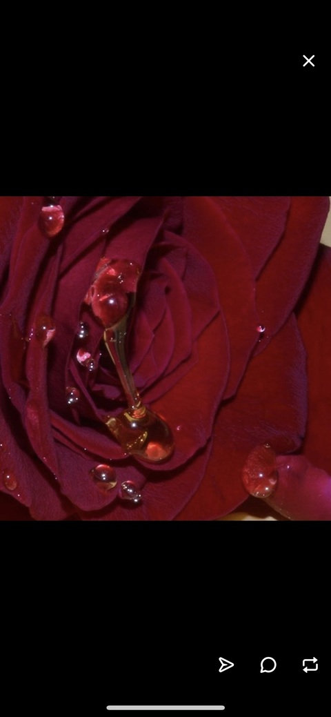 blossomhoney header picture leakfans.com