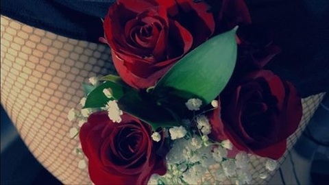 blu.bunnie header picture leakfans.com