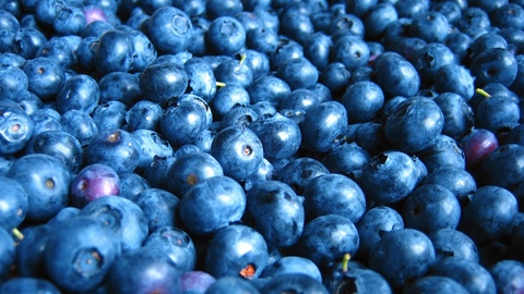 Header of blueberriess