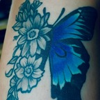 bluebutterflyofficial profile picture leakfans.com