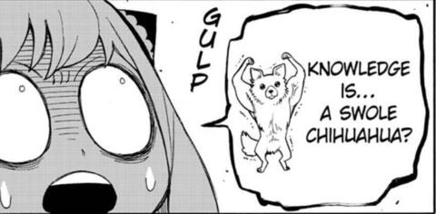 bmjw_hotteok header picture leakfans.com