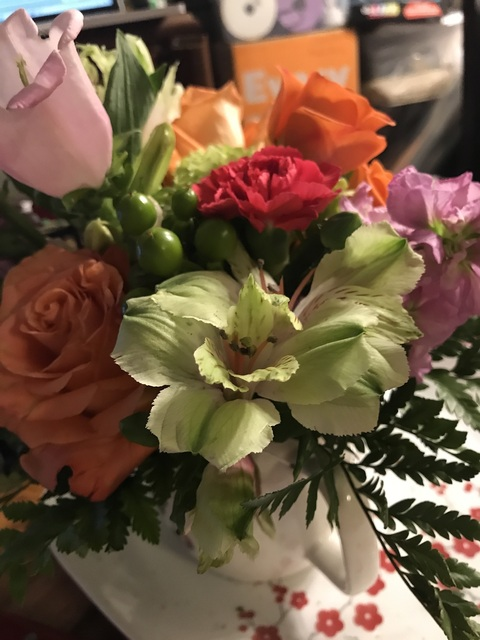 boardgamequeen header picture leakfans.com