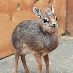 bob_lablah profile picture leakfans.com