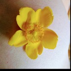 bodi3s profile picture leakfans.com