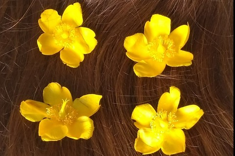 bodi3s header picture leakfans.com