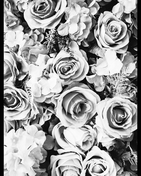 bombshell_gypsie header picture leakfans.com