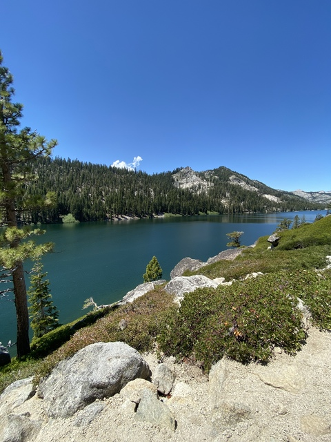 boneverafter header picture leakfans.com