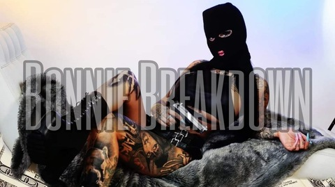 Header of bonnie_breakdown