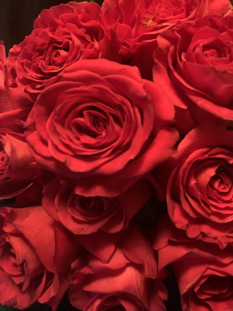 boobear68 header picture leakfans.com