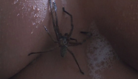 boobsnspoods header picture leakfans.com