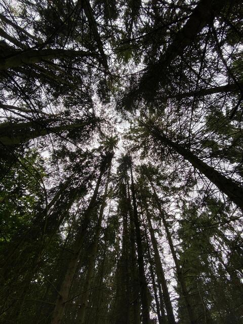 boofacebaby header picture leakfans.com