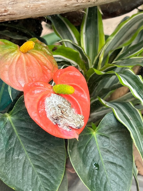 boosweetness header picture leakfans.com