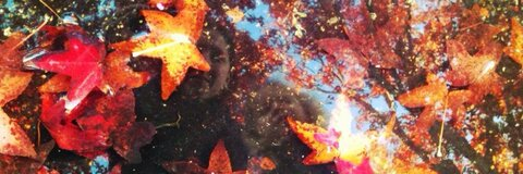 borderline header picture leakfans.com