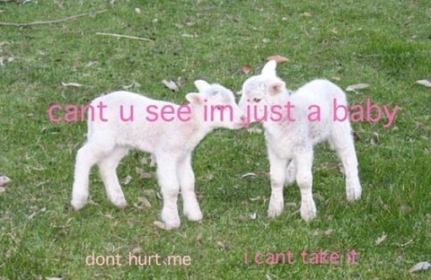 boyeaterrr header picture leakfans.com