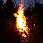 boysexy85 profile picture leakfans.com