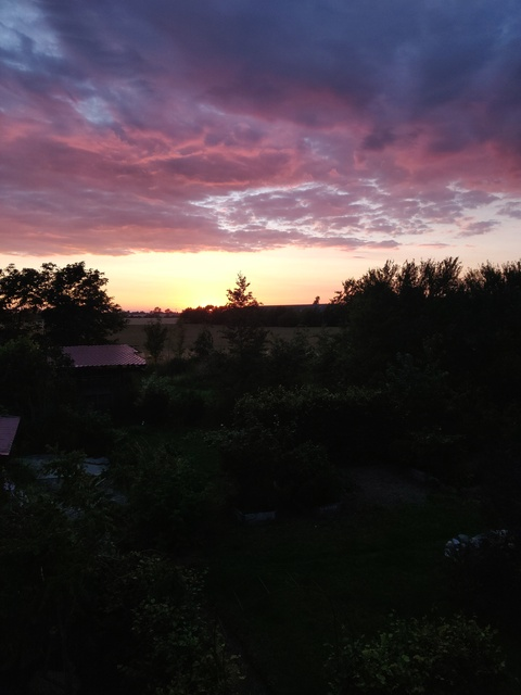 boytoyoflou header picture leakfans.com