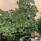 brandiie7 profile picture leakfans.com