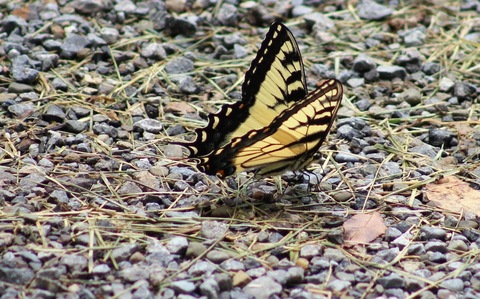 brandonhunsberger header picture leakfans.com