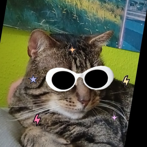 bratboii header picture leakfans.com