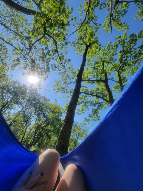 Header of brattyzebra