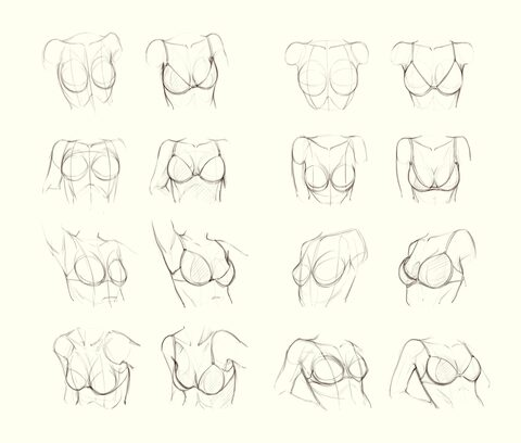 bridw header picture leakfans.com