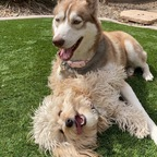 britnikitten profile picture leakfans.com