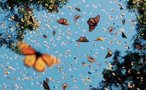 brittbabii header picture leakfans.com