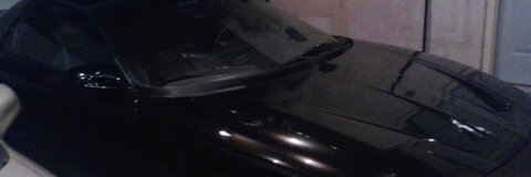 brodyirber header picture leakfans.com