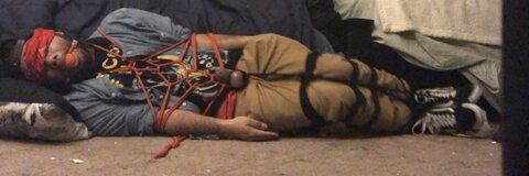 Header of brogagged