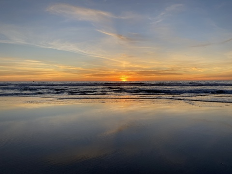 bronoui header picture leakfans.com