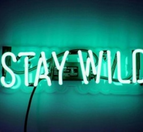 btrain222 header picture leakfans.com