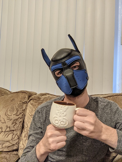 bubblebuttpup header picture leakfans.com