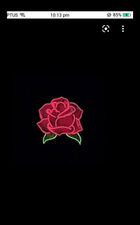 bubblegum.bitchofficial header picture leakfans.com