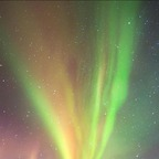 bubblywonder profile picture leakfans.com